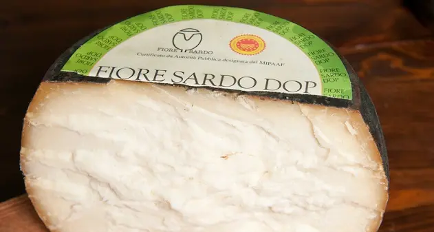 Lavorazione sospetta: sequestrate oltre 400 tonnellate di Fiore sardo