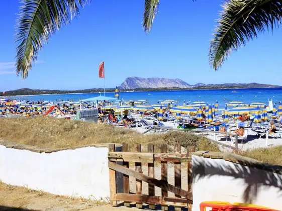 Bandiere Blu 2025, la Sardegna cresce: 16 spiagge premiate, entra anche San Teodoro