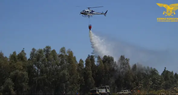 Incendio in località Monte Ollioni, in azione la Forestale
