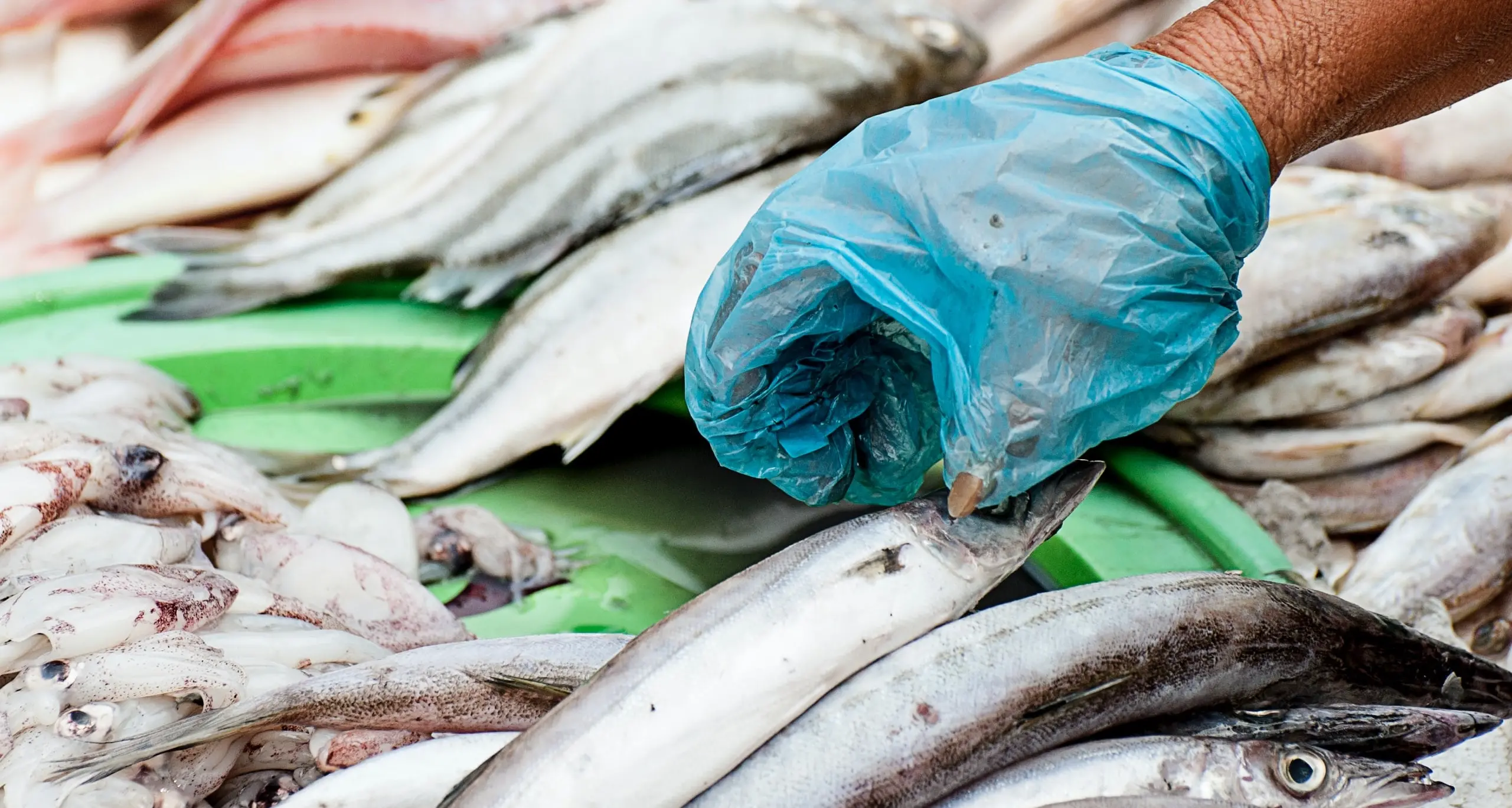 Insieme al pesce vendeva droga: arrestato un 41enne cagliaritano