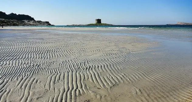 \"Keep clean and run\" per pulire la spiaggia la Pelosa