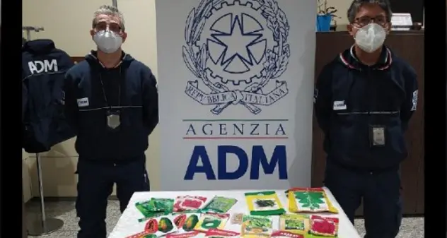 Maxi sequestro all’aeroporto di Elmas: salumi e formaggi senza certificato sanitario provenienti da Marocco e Bangladesh