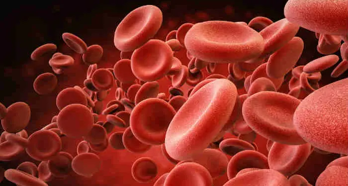 Talassemia, in Italia 3 milioni di portatori sani