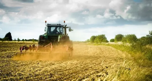 Agricoltura, altri 20 milioni in arrivo con la legge omnibus