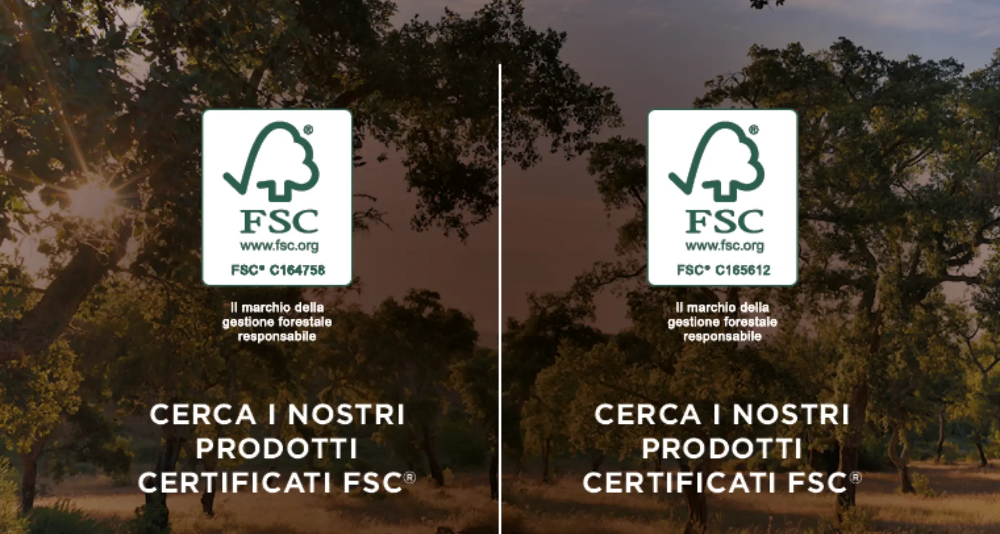 Sugherificio Molinas prima azienda italiana a ottenere la Certificazione FSCⓇ