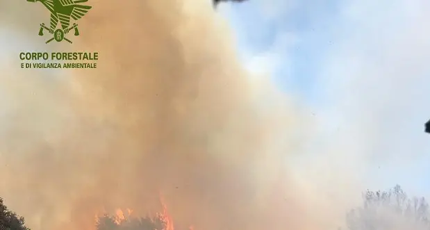 Incendi a Bottidda e Buddusò, mezzi aerei della Forestale in azione