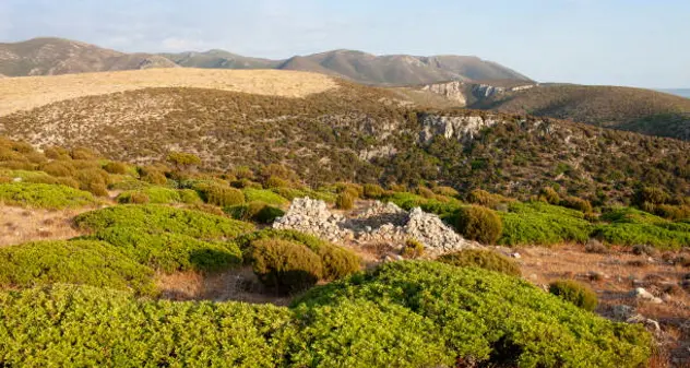 La Sardegna punta a diventare isola green e bio entro il 2030