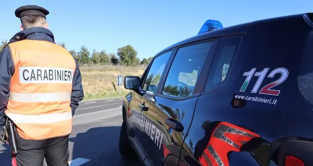 Oniferi. Bovino vagante sulla Provinciale, nei guai titolare di impresa agricola