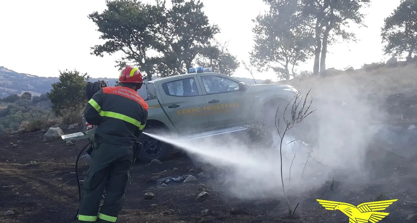 Incendi in Sardegna: 11 nella giornata di oggi