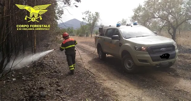 Incendi a Carbonia, Arzachena, Siamanna, Luras, Monastir e Donori: in azione i mezzi aerei della Forestale