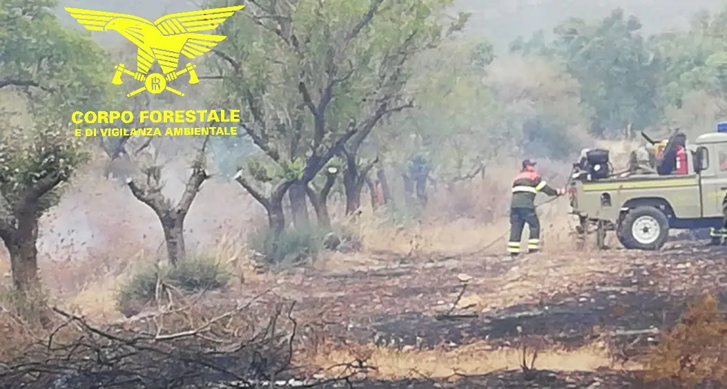 Illorai, incendio in località Rio Talei, operazioni di spegnimento in corso