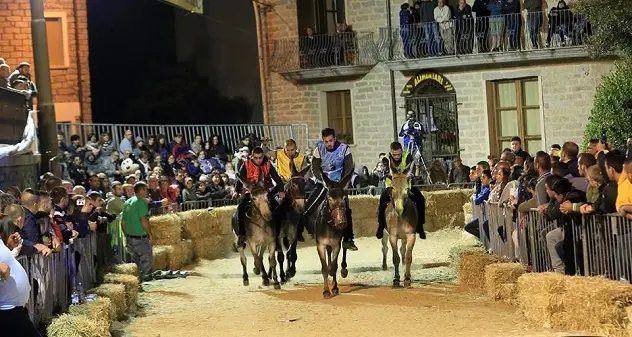 Entra nel vivo la 18^ edizione del Palio di Ollolai, tutto è pronto per il grande evento dell'estate in Barbagia