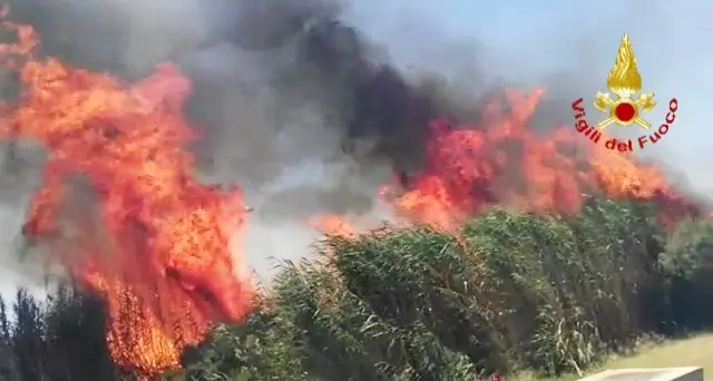 Ancora fiamme a Molentargius, i roghi minacciano anche le case. Sul posto i Vigili del Fuoco, volontari e Protezione Civile