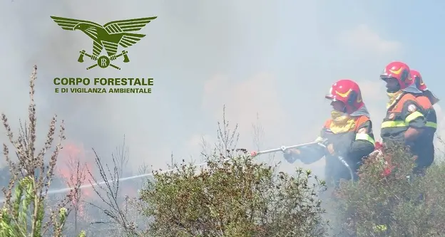 Incendi a Illorai, Santu Lussurgiu, Quartu Sant’Elena, Teulada e Aidomaggiore: Forestale in azione