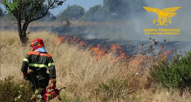 Incendi a Ittiri, Muros e Carbonia: Forestale in azione