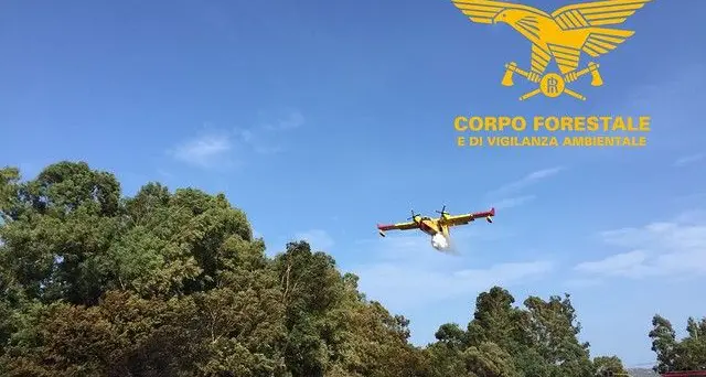 Incendi a Siniscola, Berchidda, Ruinas, Tortolì e Santu Lussurgiu, mezzi aerei della Forestale in azione