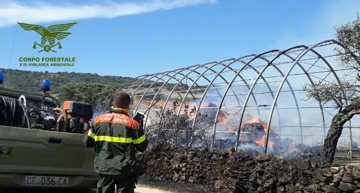 Incendio a Berchidda, distrutti un fienile e un automezzo
