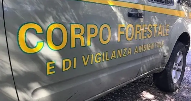 Pomeriggio di incendi nel Nuorese: 35 ettari in fumo, lambiti case e ferrovia