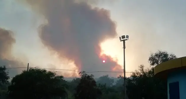 La denuncia di Coldiretti Nuoro Ogliastra: “A luglio in provincia oltre 2 incendi al giorno. Sabato 13 luglio il picco”