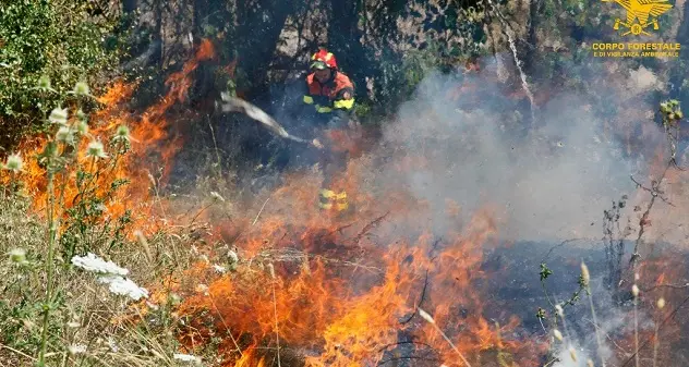 Incendi a Setzu, Castelsardo, Uras e Ilbono: sul posto i mezzi aerei della Forestale
