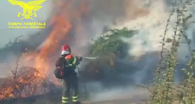 Luras, incendio in località Toveddu: operazioni di spegnimento in corso
