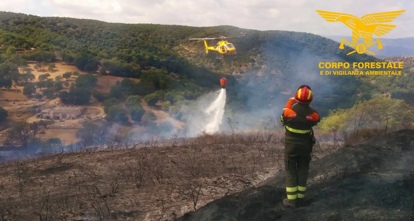 Incendi in Sardegna: undici nella giornata di oggi