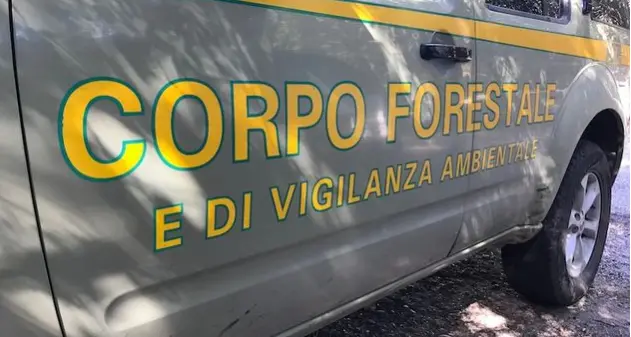 Maxi blitz della Forestale alla Saras, s'indaga per disastro ambientale