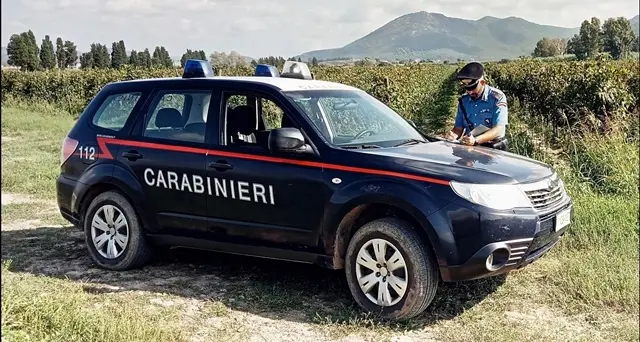 Lotta al caporalato, scoperti dai Carabinieri tre lavoratori in nero. Scattano le denunce e le maxi multe