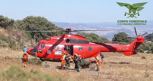 Incendio lambisce villaggio vacanze a Lotzorai