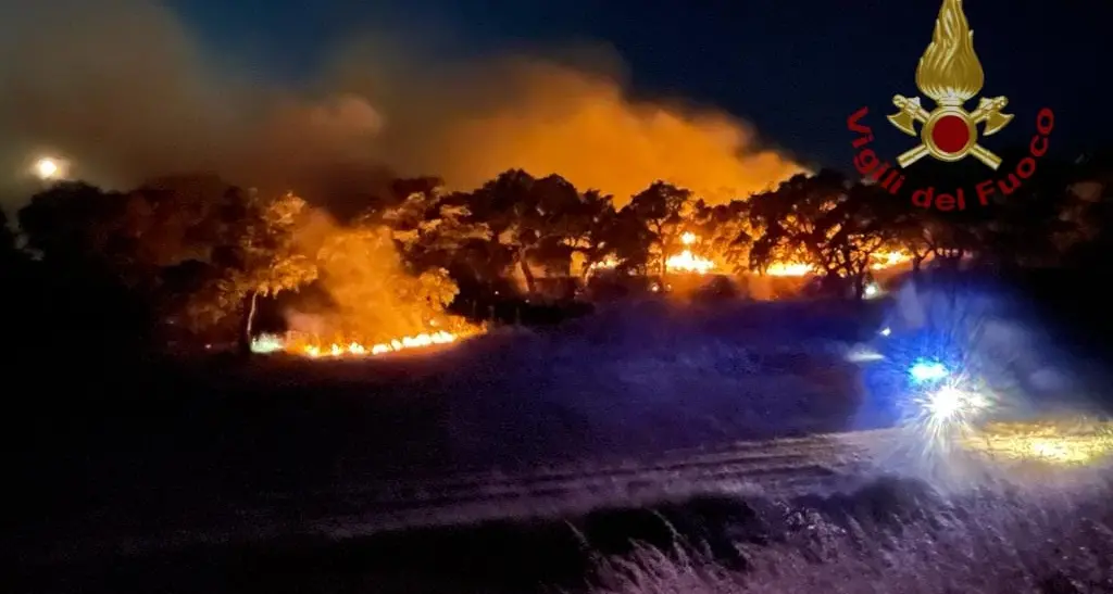 Bottidda. Sugherete e rotoballe in fiamme nella notte