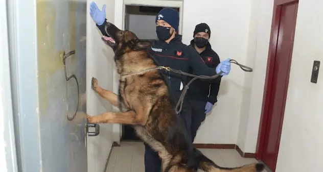Davano fuoco a rifiuti pericolosi: denunciate 18 persone