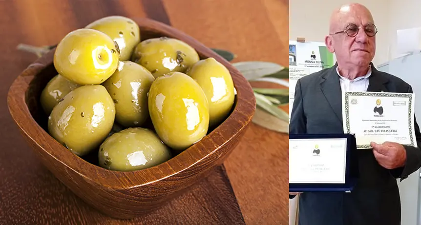 Coldiretti. Sono di Gonnosfanadiga le migliori olive da tavola italiane