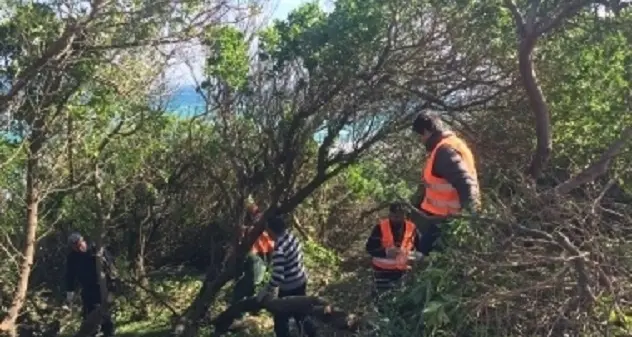 Cantieri di forestazione, Più assunzioni grazie alla premialità di 30mila euro