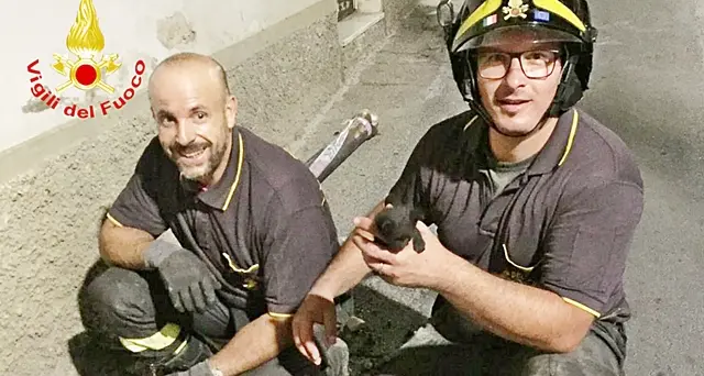 Gattino incastrato dentro una tubazione, lo salvano i Vigili del Fuoco