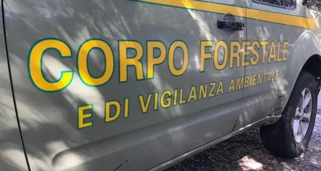 Fumo intenso e aria irrespirabile, 170 persone evacuate dalle case nell'Oristanese