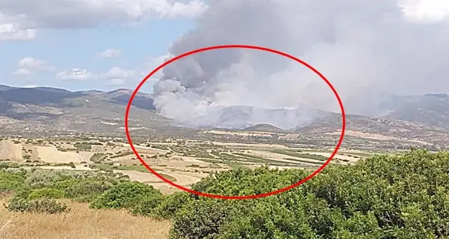 Sardegna nella morsa degli incendi: ieri mezzi aerei della Forestale in azione a Urzulei, Pula, Domus De Maria, Berchideddu e Maracalagonis