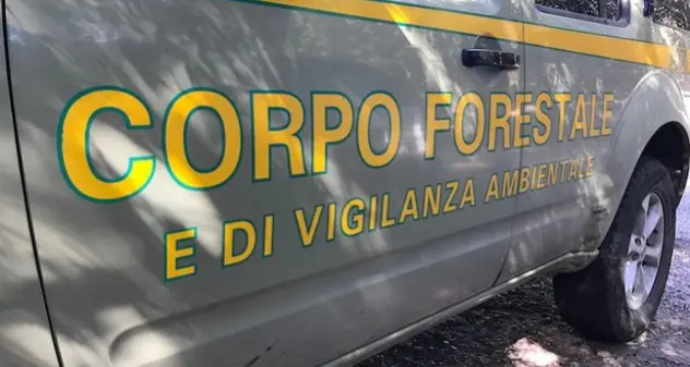 Gigantesco rogo nell'Oristanese partito da un palo elettrico fatiscente