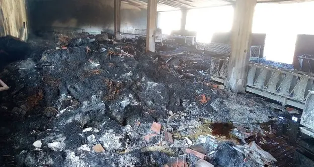 Incendio Siniscola. Coldiretti Nuoro Ogliastra: “Circa mille ettari bruciati, in arrivo il foraggio”