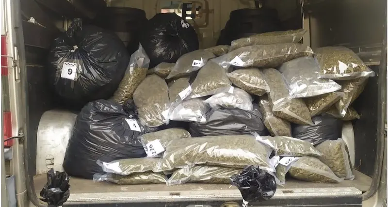 Nuoro. La Polizia sequestra circa 140 chili di droga: due arresti
