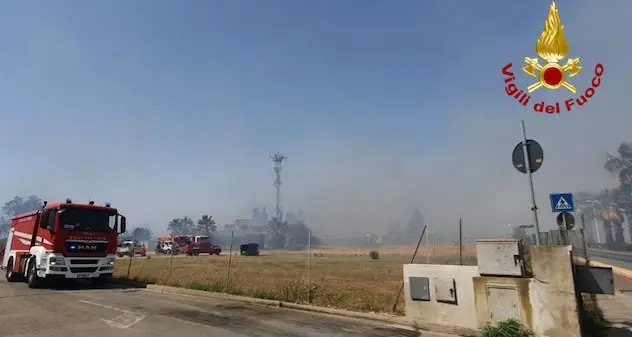 Assemini. Vasto incendio lambisce case e serre