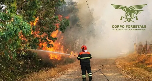 Tredici incendi in Sardegna, oltre tre ettari in fumo