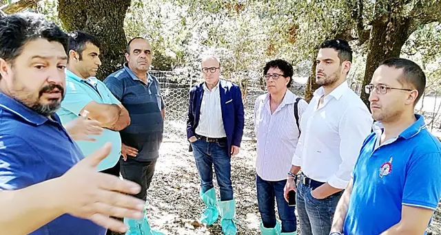 La Lega incontra gli allevatori del suinicolo sul territorio: ”Proposta di legge per valorizzare un settore fondamentale”