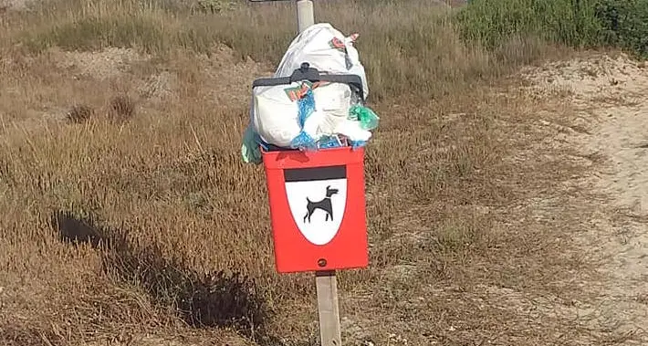 “Rispettate le spiagge e i luoghi pubblici”, l’appello di Manuela Pintus contro l’abbandono dei rifiuti