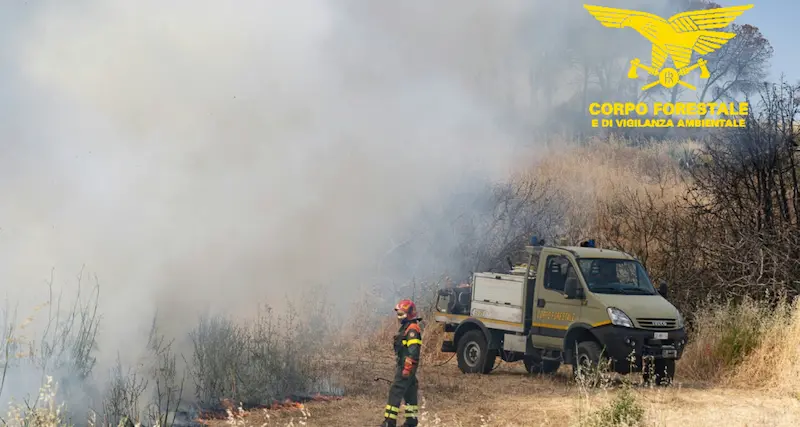 Fiamme in Sardegna: dodici gli incendi