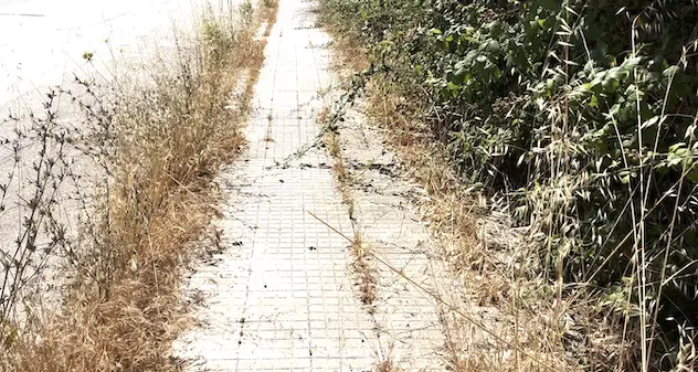 Alghero. La Giunta “celebra un avanzo di Amministrazione elevato”, i cittadini protestano: “la città è sporca”