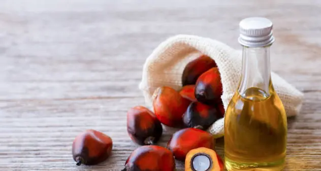 L'olio di palma torna sulle tavole degli italiani “grazie” alla guerra in Ucraina