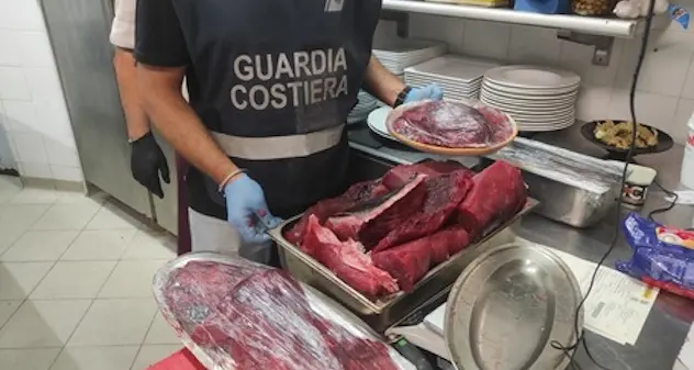 Arzachena. 150 chili di pesce illegale in cucina, maxi multa per ristoratore