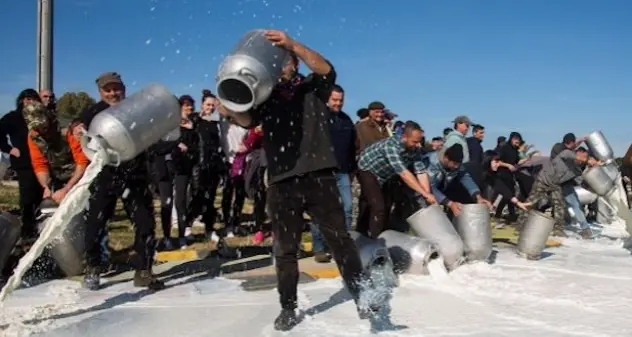 Proteste per il prezzo del latte in Sardegna, assolti 5 pastori