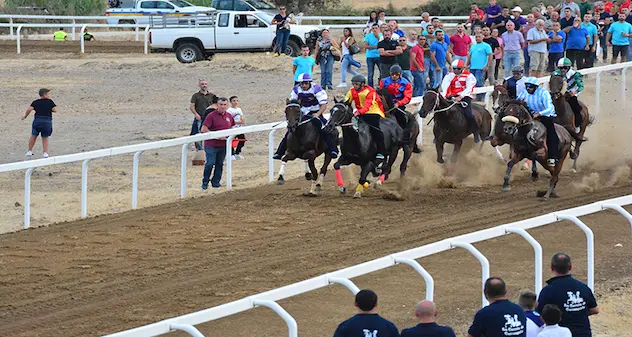 Inizia il countdown per la più attesa competizione equestre del Goceano