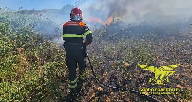 Sassari. Vasto rogo tra la frazione di Tottubella e la località Nuraghe Bonassai